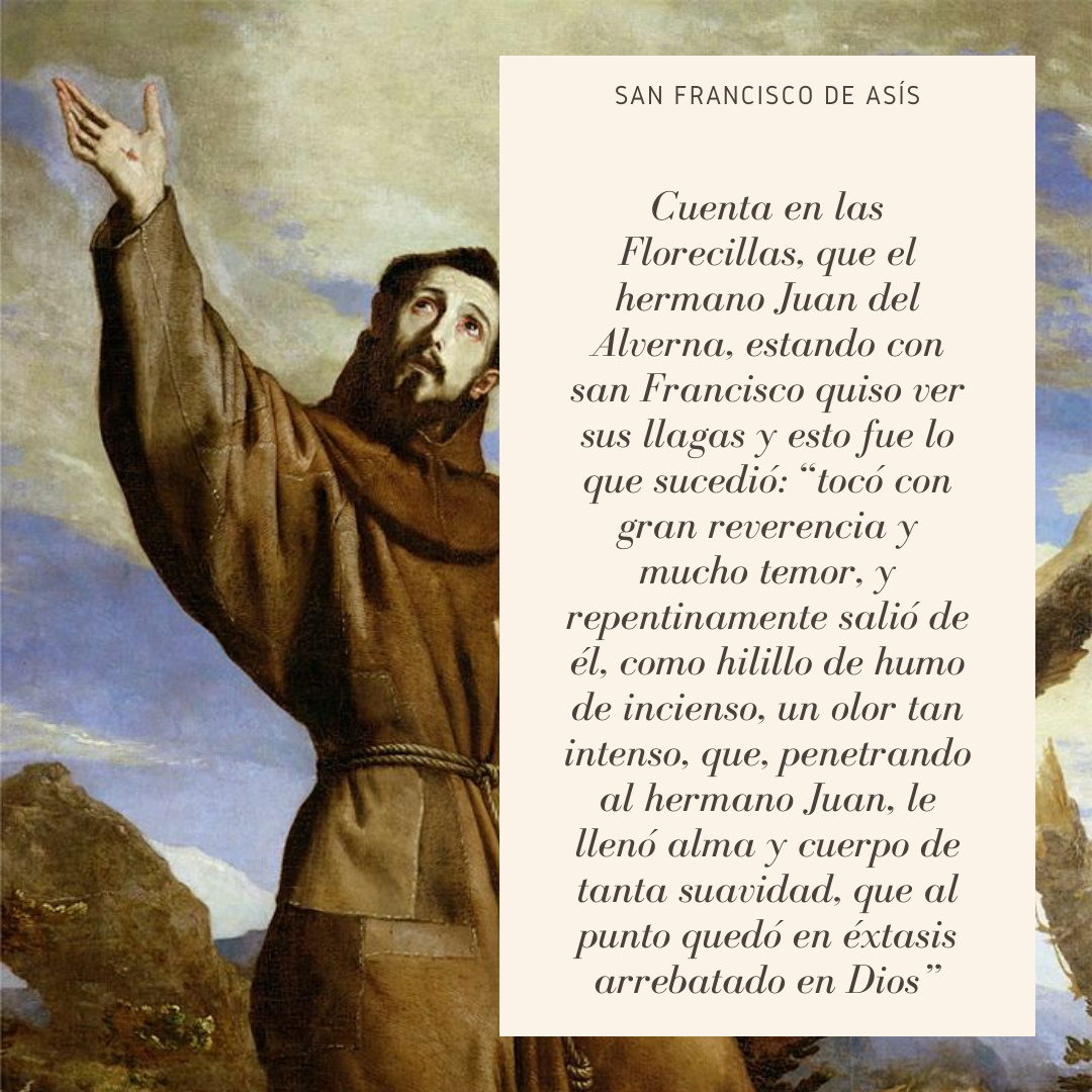 https://www.notasrosas.com/¿Qué sabe usted sobre el olor de los santos?