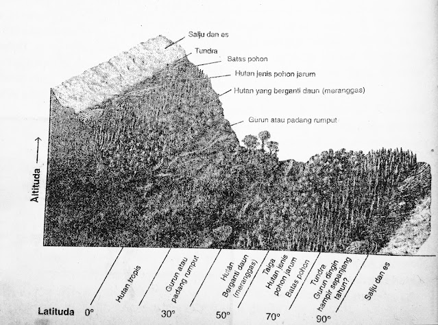 Biogeografi | Iklim dan Biogeografi