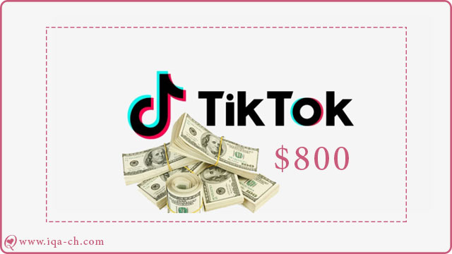الربح من تيك توك أزيد من 800 دولار في الشهر