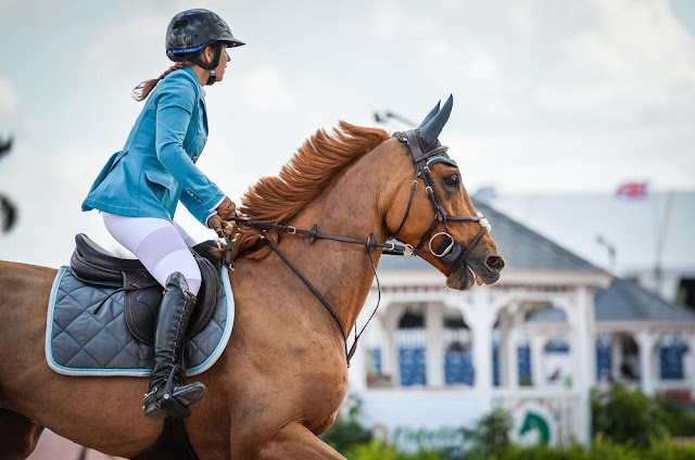 Horse Riding Helmets