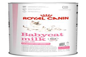 Susu Untuk Kucing Anggora Umur 0, 1 Bulan, 2 Bulan, Susu Royal Canin Baby Cat Milk