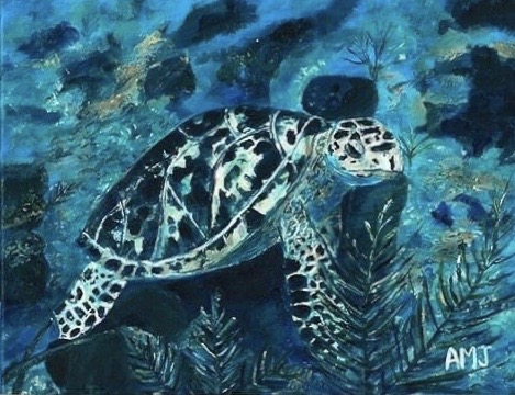 Sea Turtle, TCI - Prints
