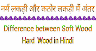 नर्म काष्ठ/लकड़ी (Soft Wood) और कठोर काष्ठ/लकड़ी (Hard Wood) में अंतर