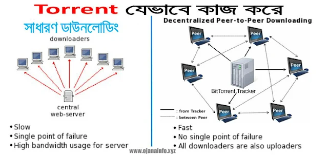 what-is-torrent-and-how-does-it-work-in-bangla