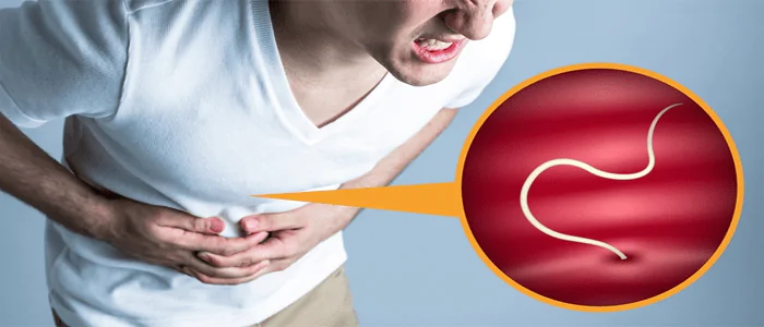 Os melhores alimentos e ervas para eliminar parasitas intestinais