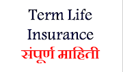 Term Life Insurance 