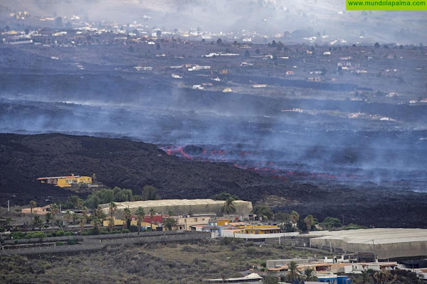 El Gobierno de Canarias concede 63 millones para el Plan Extraordinario de Empleo por el volcán de La Palma