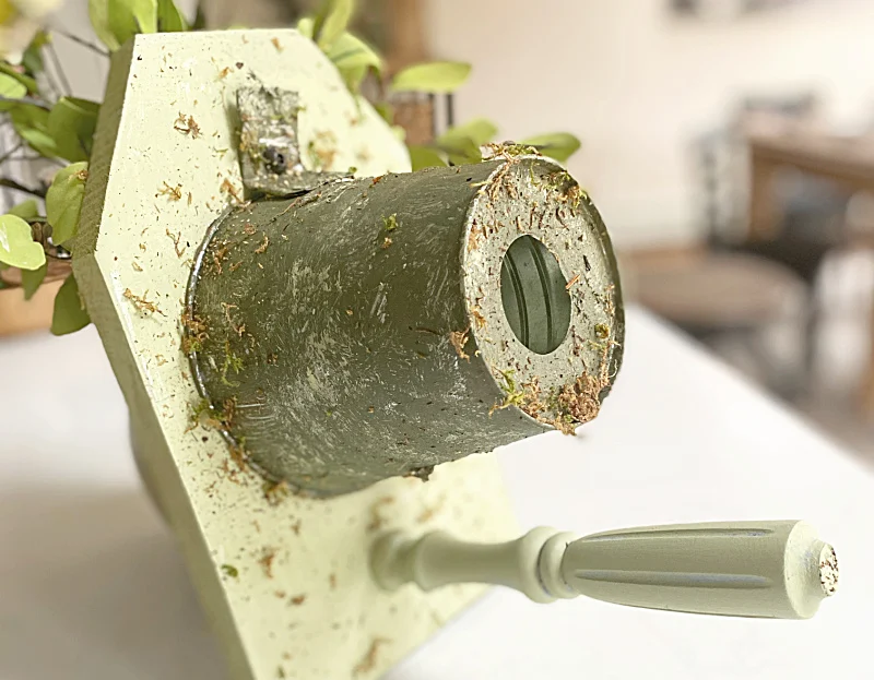 mossy birdhouse