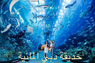 حديقة أكوافنتشر المائية في دبي أسعار التذاكر وأفضل أوقات الزيارة