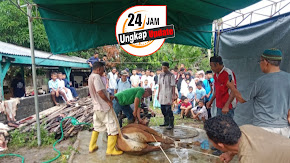 Idul Adha 1444 H  Panita  Masjid Nurul Islam melaksanakan Qurban 7 Ekor sapi dan 20 Ekor Kambing