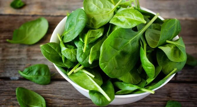 Health Benefits and Nutritional Value of Spinach