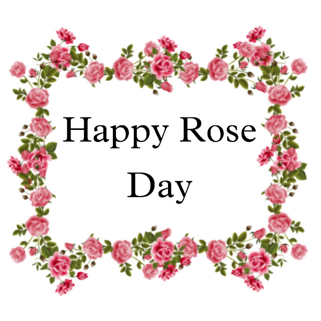 Rose Day Images