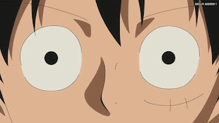 ワンピースアニメ ゾウ編 757話 ルフィ Monkey D. Luffy | ONE PIECE Episode 757