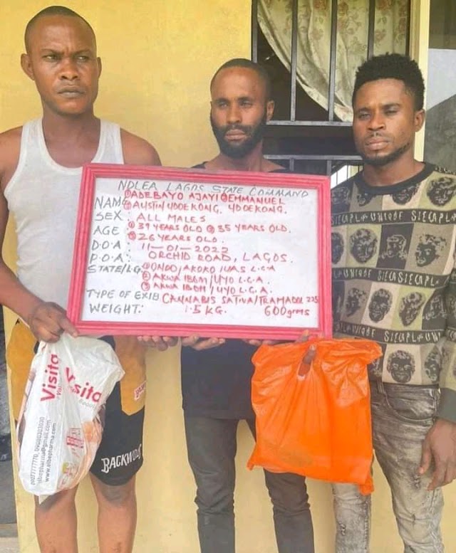 Popular IG skit Maker D-General arrested and paraded by NDLEA in Lagos over drug-related issues.