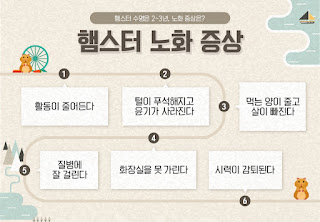 햄스터의 수명 노화 증상을 알아봅시다 10