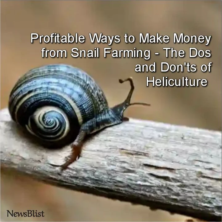 Thirty Profitable Ways to Make Money from Snail Farming – The Dos and Don'ts of Heliculture - Article