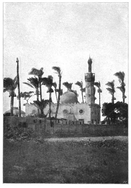 الإسكندرية، مسجد القباري