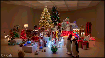 Christmas Cat GIF • How Xmas feeds for crazy cat ladies. OMG, what a disaster and total destruction!