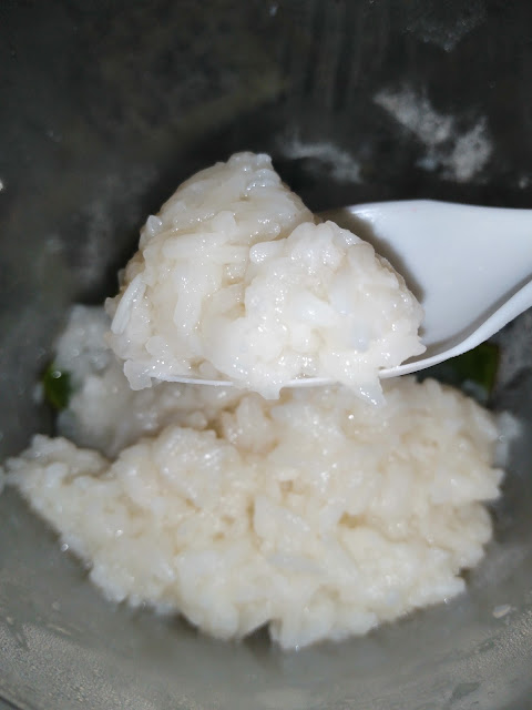 Tapai pulut