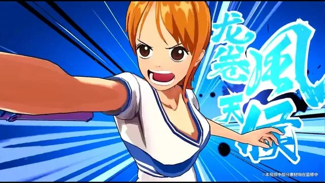 One Piece Project Fighter - DsPoketuber