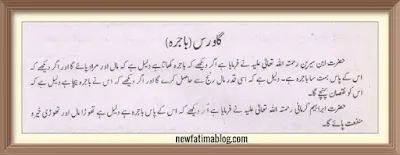 khwab Mein  Bajra Dekhnay ki Tabeer,khwab Mein  Baley Dekhnay ki Tabeer,khwab Mein  gao ras Dekhnay ki Tabeer,dreaming of barley interpretation in urdu,urdu mein khwab ki tabeer,tabeer nama  ibn siren,tabeer nama hazrat ibrahim karmani R.A,