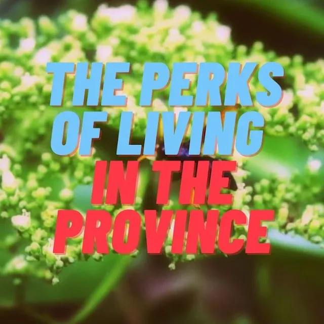 The perks and benefits of living in the province