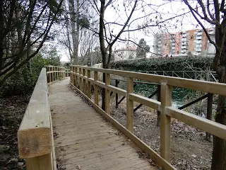 地中海歴史自然博物館の園内風景