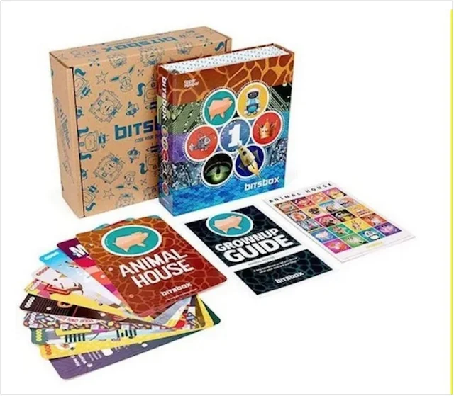 Monthly Educational Subscription Boxes for 12 Year Olds