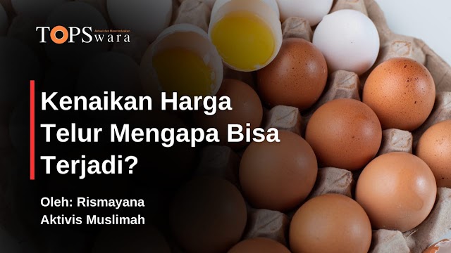 Kenaikan Harga Telur Mengapa Bisa Terjadi?