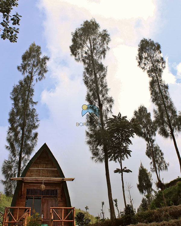 Bora-Bora Mount View Sibajag Temanggung