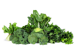 Food To Reduce Body Fat