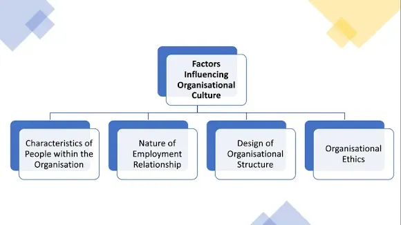 factors affecting organizational culture