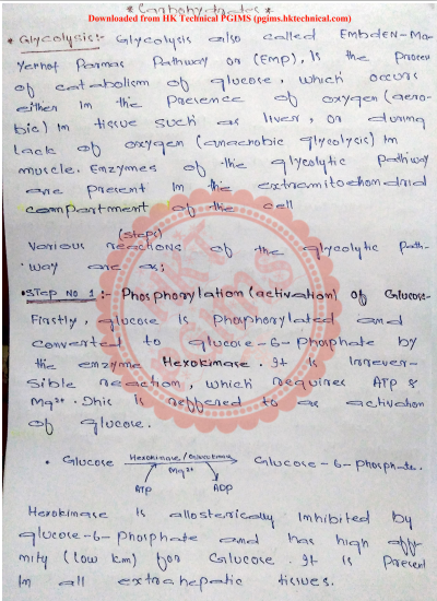 BP504T Glycolysis Notes 5th Semester B.Pharmacy ,BP504T Pharmacognosy and Phytochemistry II,BPharmacy,Handwritten Notes,BPharm 5th Semester,Important Exam Notes,