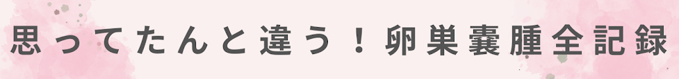 思ってたんと違う！卵巣嚢腫全記録