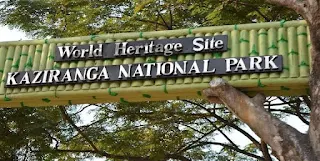 Kaziranga National Park Prepares for 'Greater Kaziranga' Experience as It Reopens After Monsoon