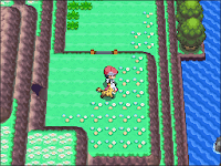 Pokemon Following Platinum Screenshot 07