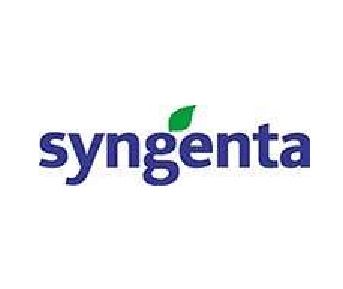 Syngenta Jobs in USA - Analytical Team Leader 2