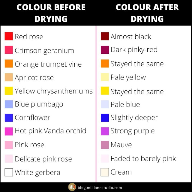 How flowers change colour after drying them