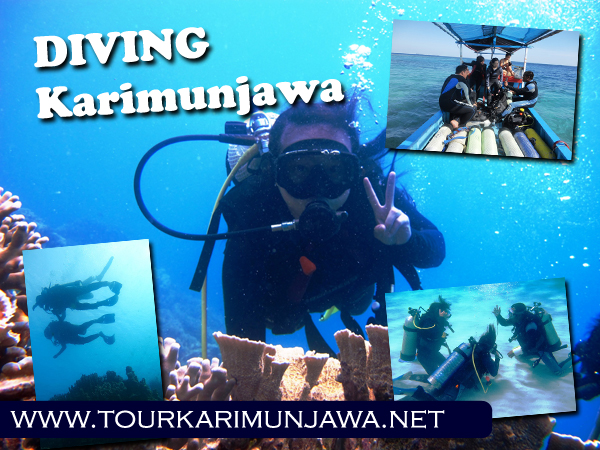 diving trip karimunjawa