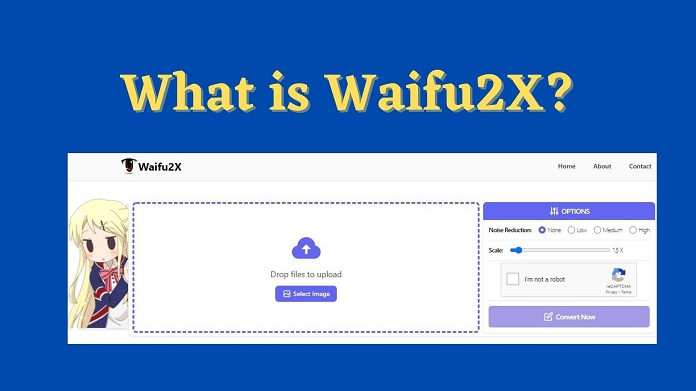 What is Waifu2x?