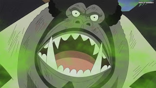 ワンピースアニメ ゾウ編 760話 BB | ONE PIECE Episode 760