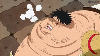 ワンピースアニメ WCI編 805話 ルフィ かわいい Monkey D. Luffy | ONE PIECE Episode 805