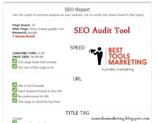 SEO Audit Tool