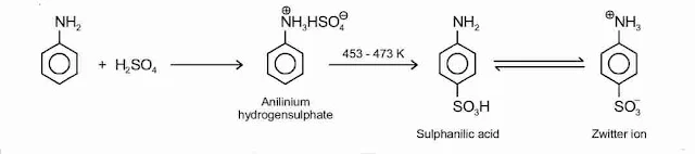 Amines Chemistry Class 12 Notes