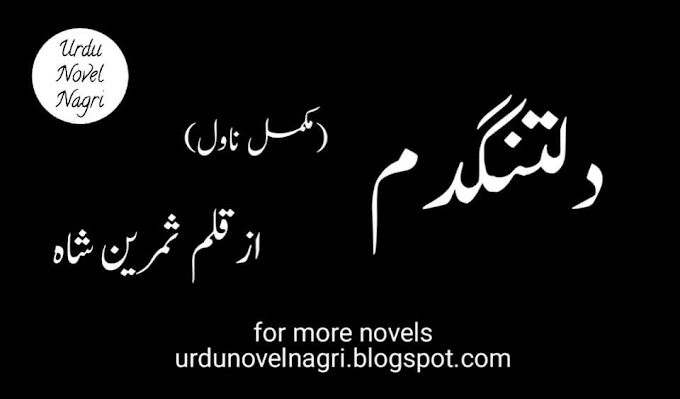 Diltangdum Novel by samreen shah complete PDF