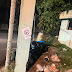 Denuncian cúmulo de basura en la entrada de residencial El Polvorín, Santo Domingo Norte