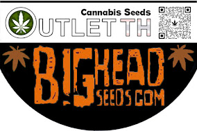 Buy Bighead Seeds Thailand