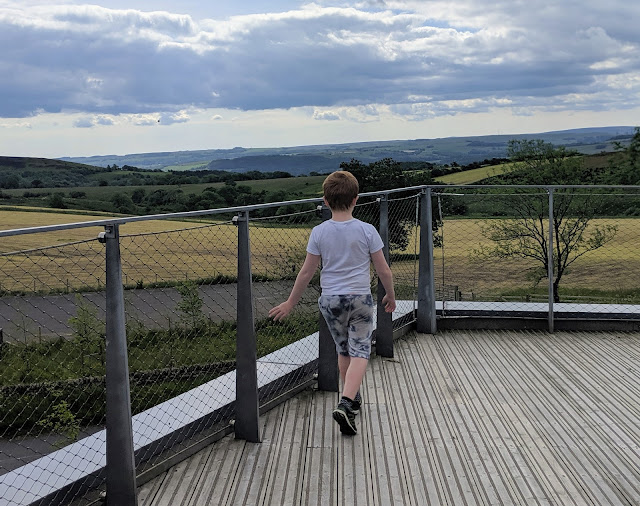 How to Walk to Sycamore Gap with Kids  - the sill rooftop garden