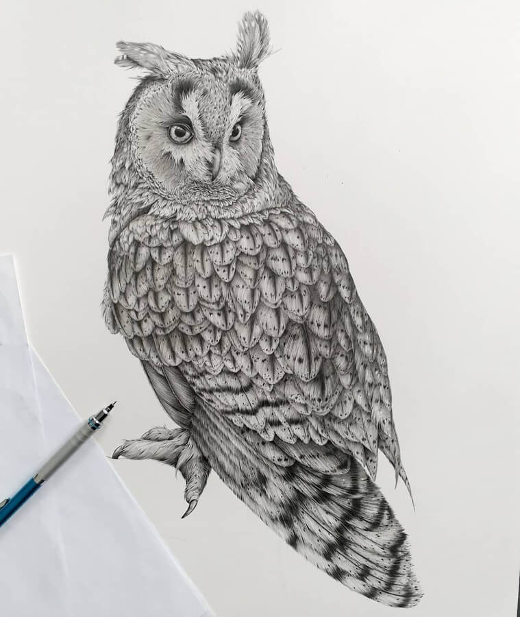 04-The-owl-Kerry-Jane-www-designstack-co