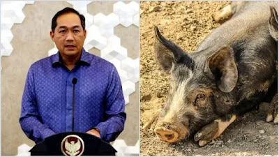 Ekonom Semprot Mendag Lutfi yang Harga Kedelai Meroket Gegara Babi di China